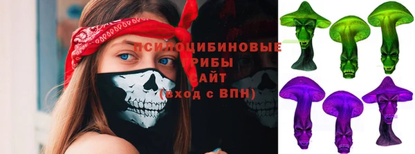 трава Верхнеуральск