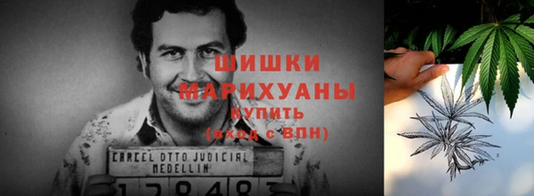 ГАЛЛЮЦИНОГЕННЫЕ ГРИБЫ Верея