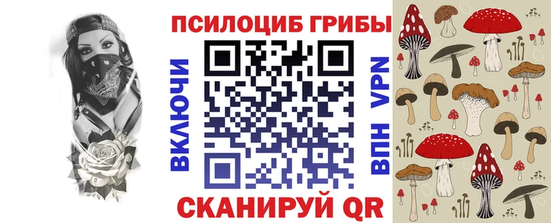 блэк спрут зеркало  Павловск  Галлюциногенные грибы мицелий  купить наркоту 